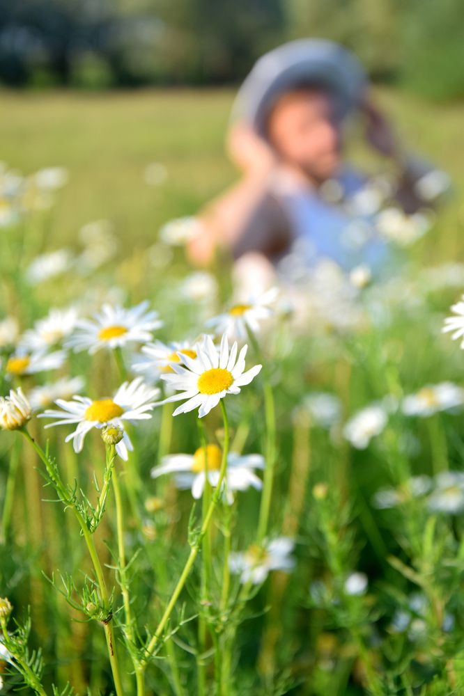 Photograph by Валентина Назина