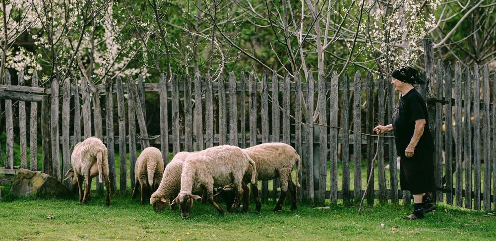 Photograph by Alexandra