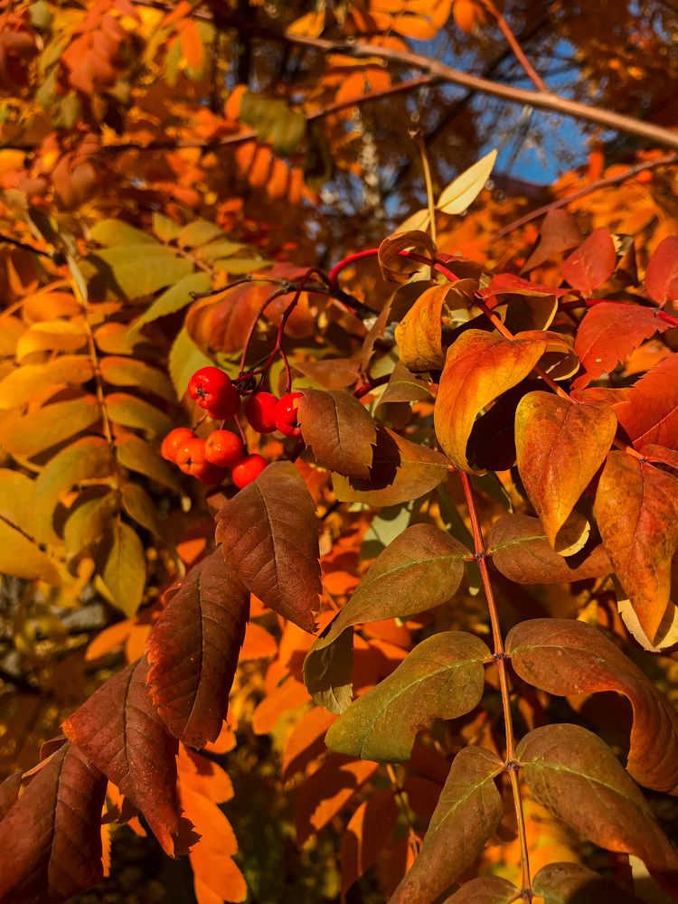 Photograph by Наталия Столяр