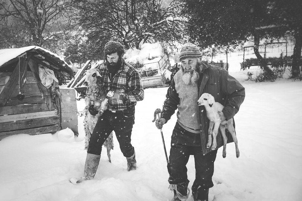 Photograph by Dimitris Vavliaras