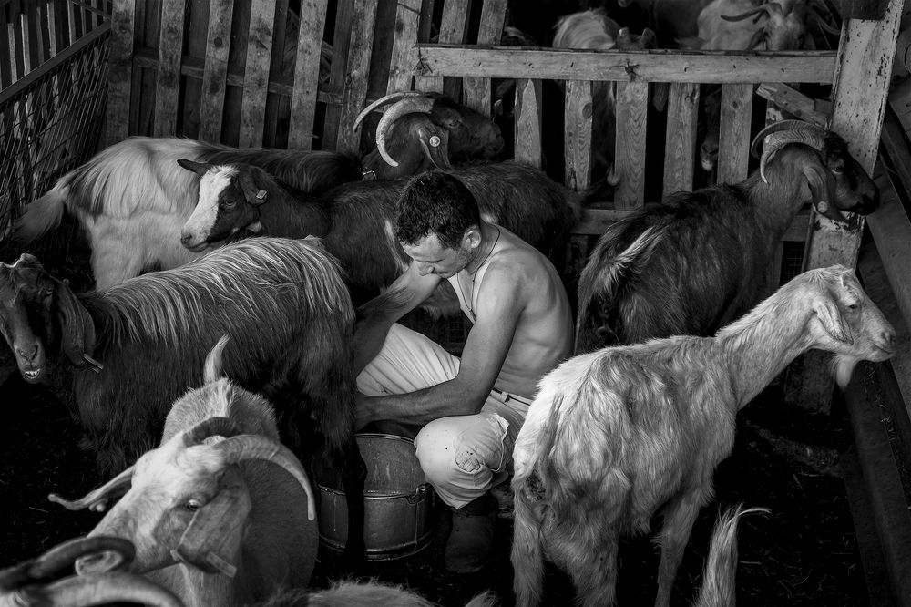 Photograph by Dimitris Vavliaras