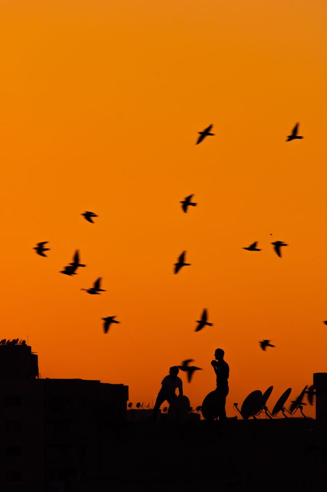 Photograph by Ayush Tripathi