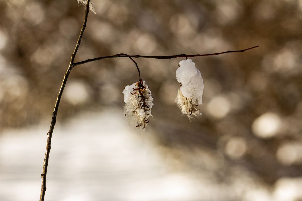 Photograph by Алексей