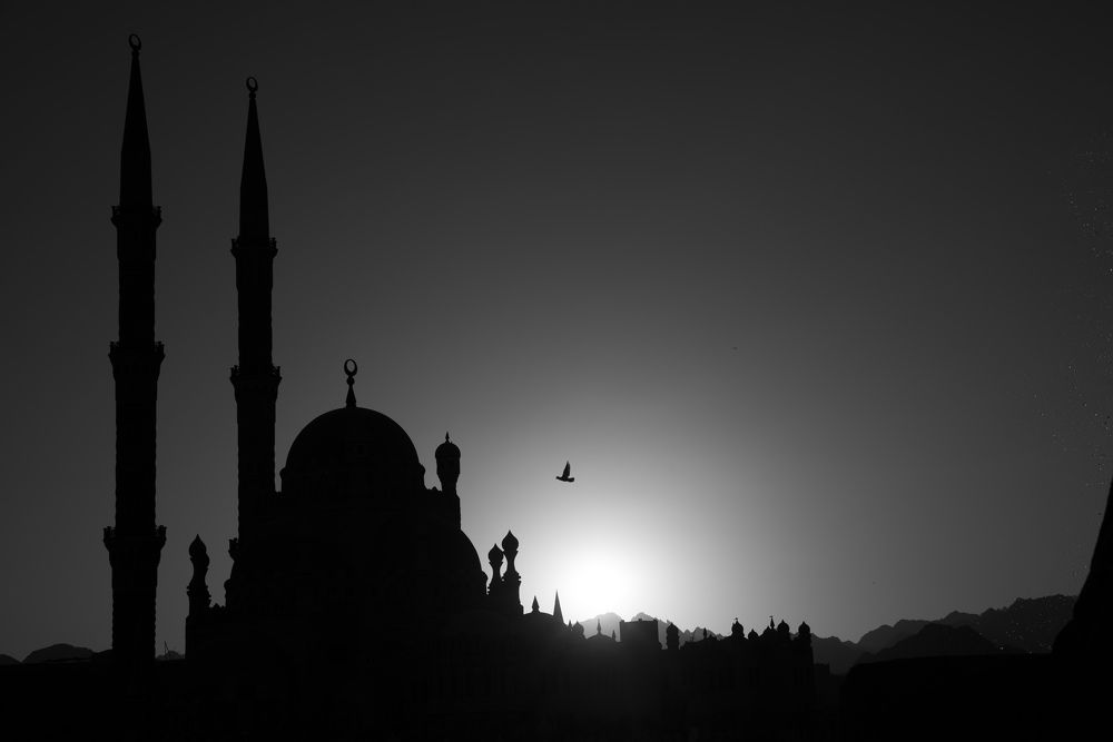 Photograph by Игорь Еремеев