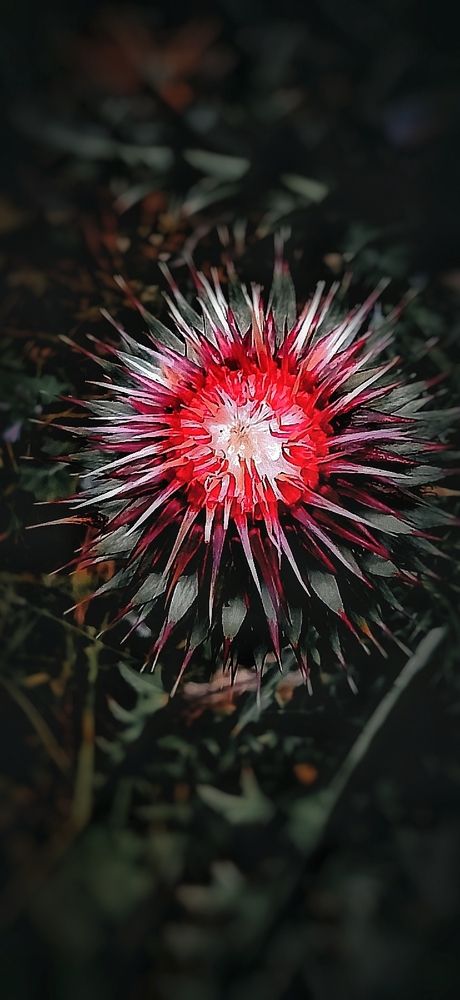 Photograph by Myrsini Charalampidou