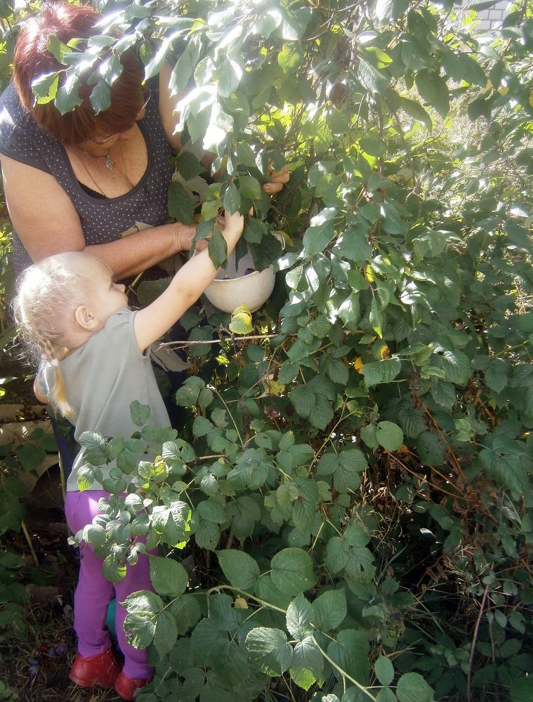 Photograph by Татьяна Смирнова