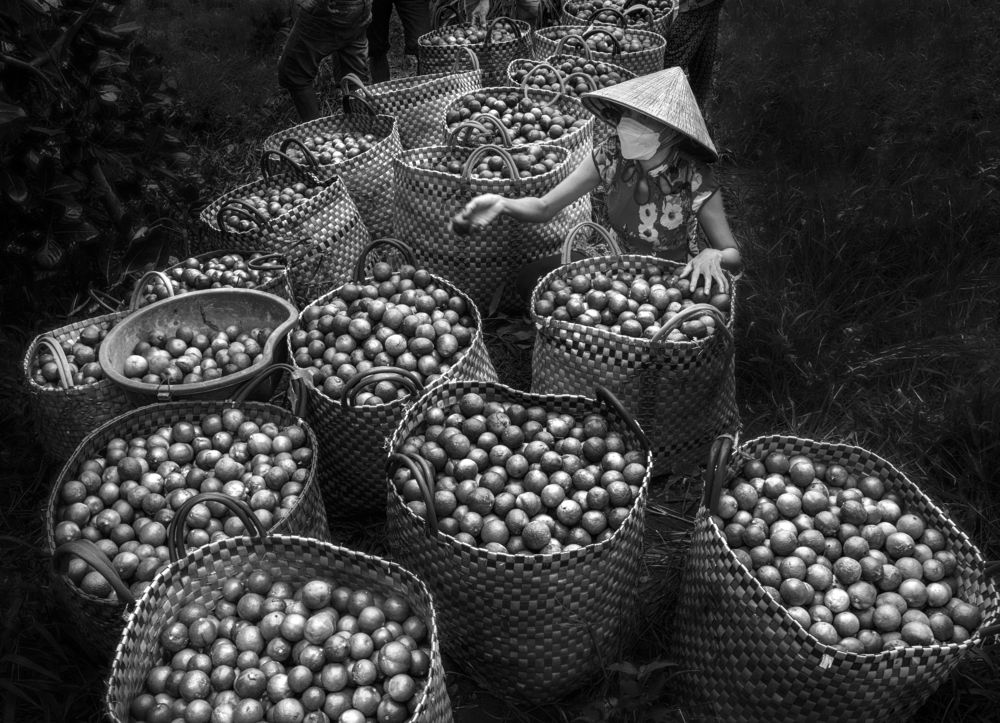 Photograph by Le Thach Duy Hai