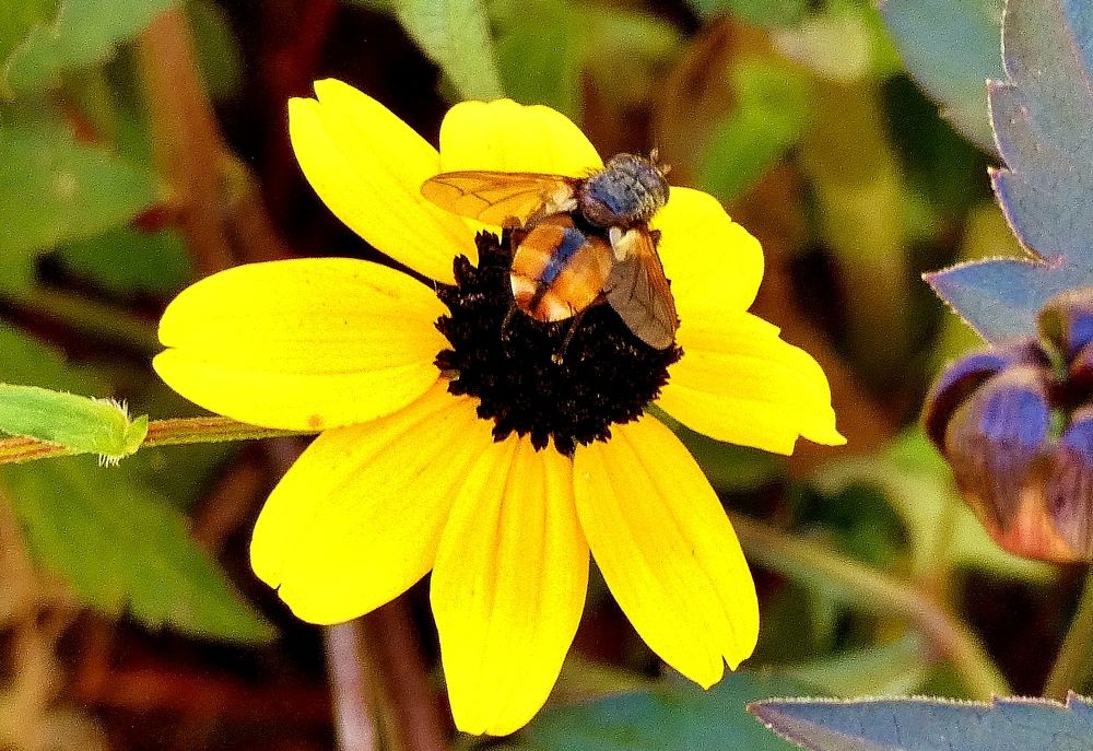 Photograph by backareva irina