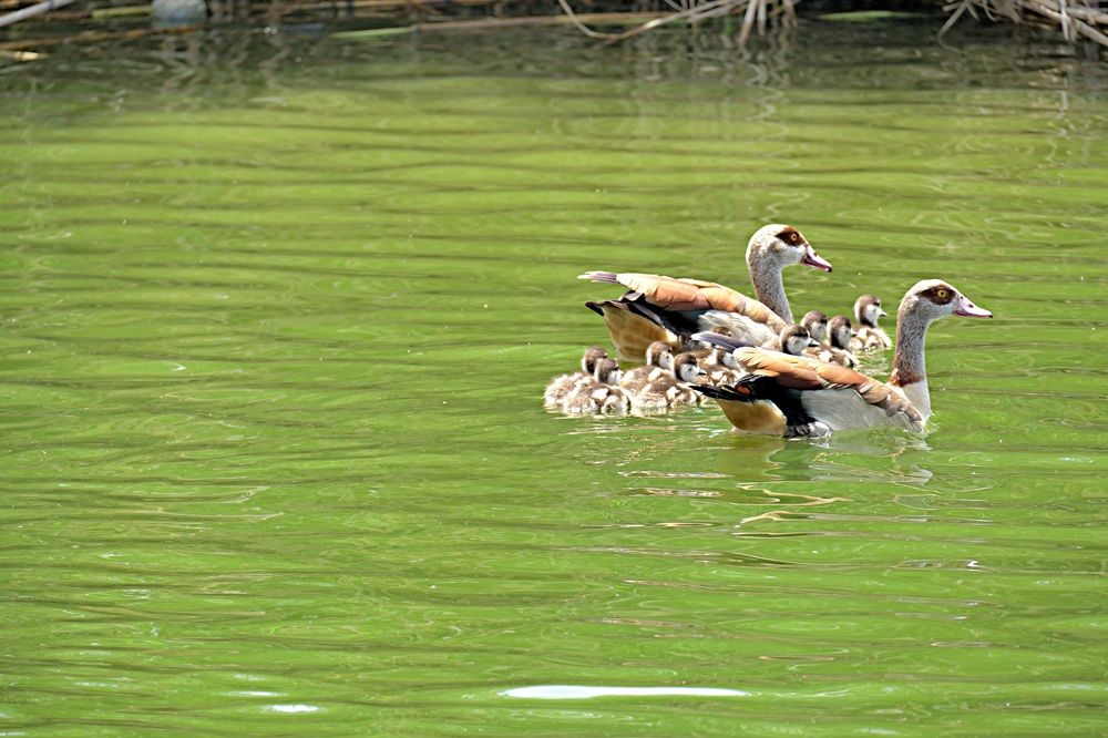 Photograph by Arkady Sandler