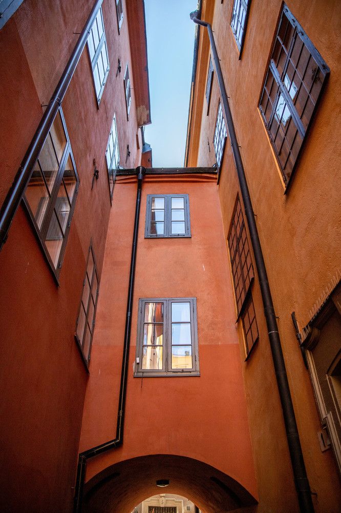 Photograph by Вязникова Анна