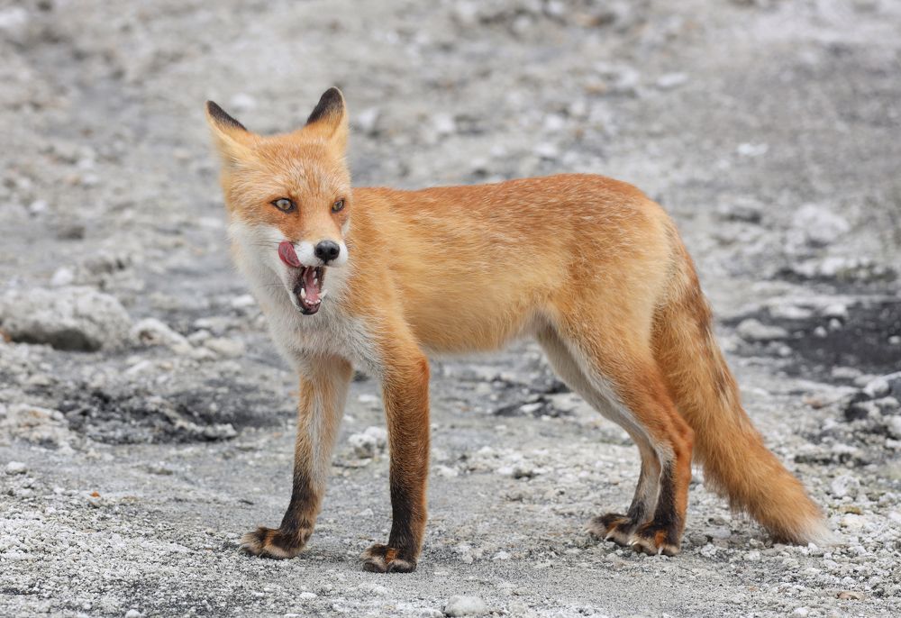 После полдника