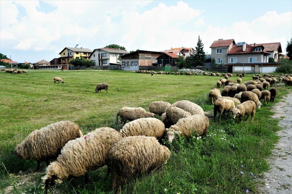 Photograph by Arkady Sandler