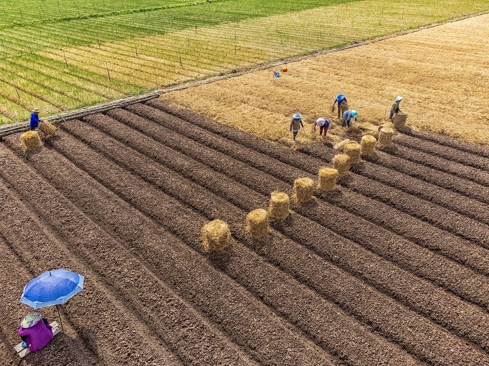 Photograph by Phúc Đoan Nguyễn