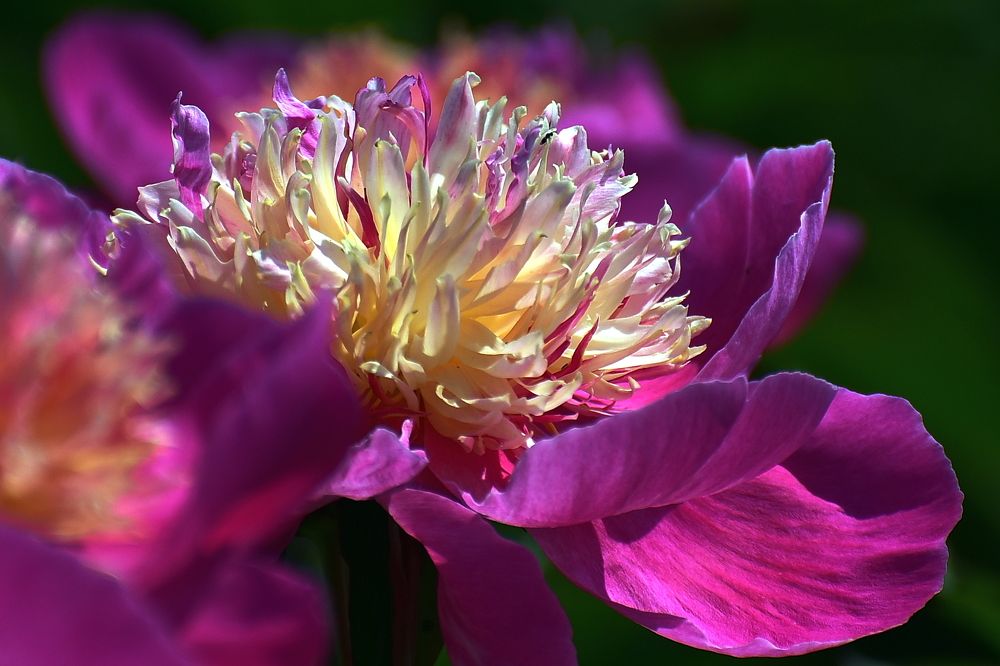 Photograph by Корнейчук Игорь