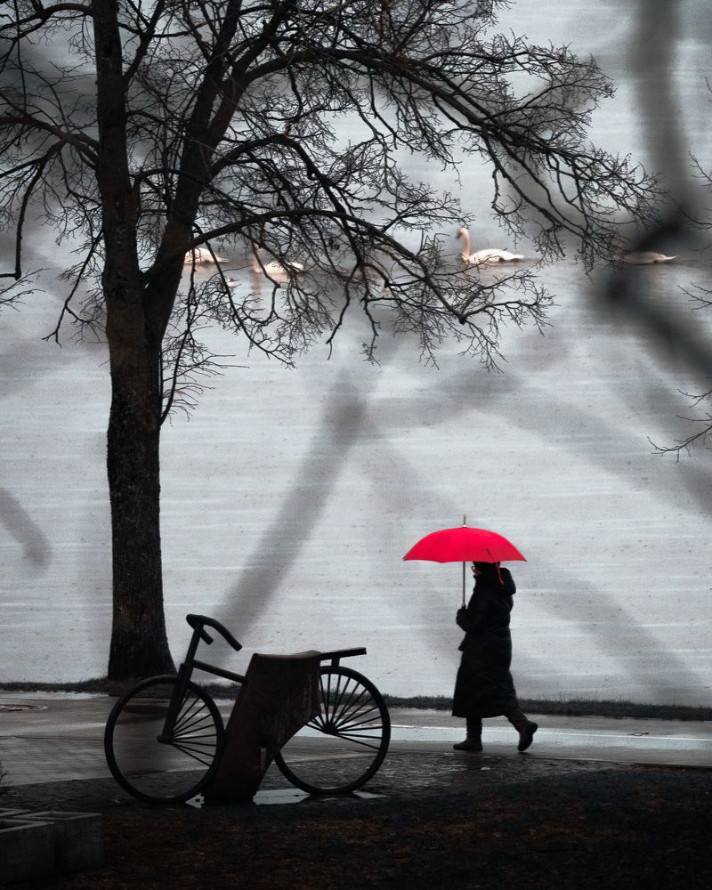 Фотография автора Богородицкий Артур