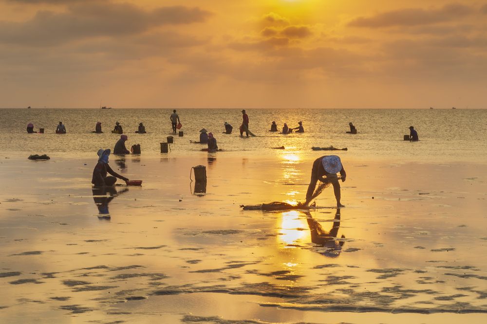 Photograph by Le Thach Duy Hai