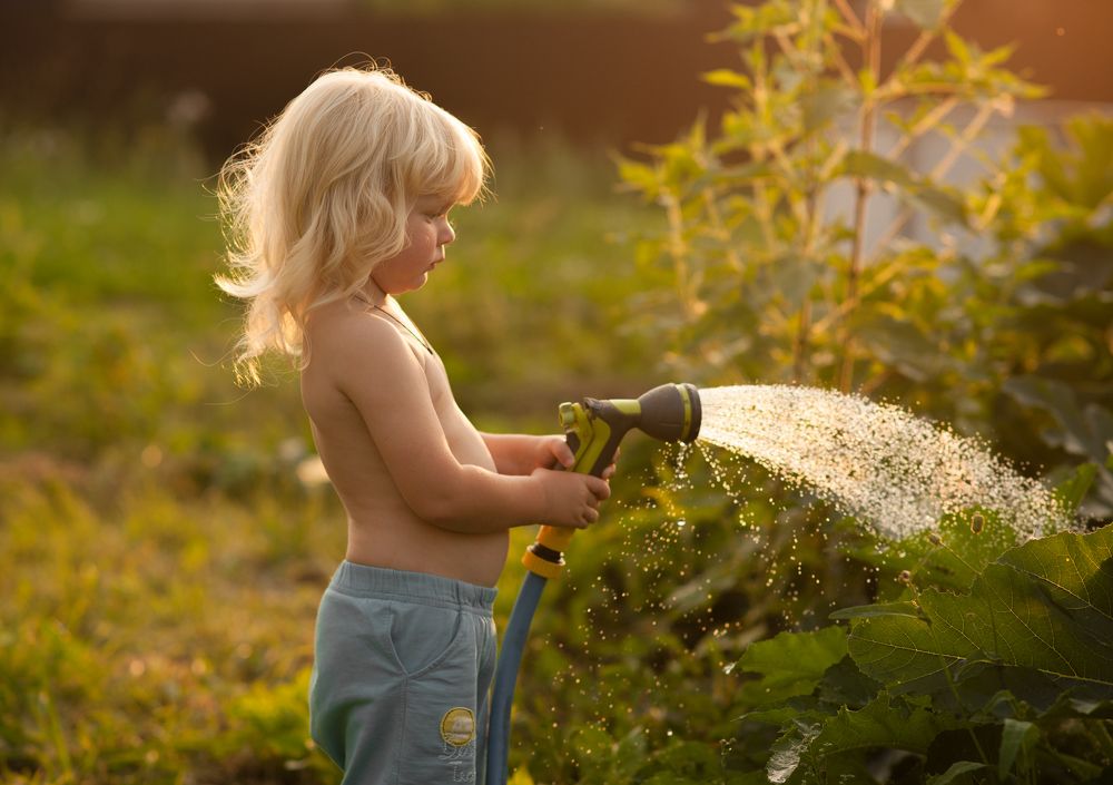 Photograph by Мария Пищалова