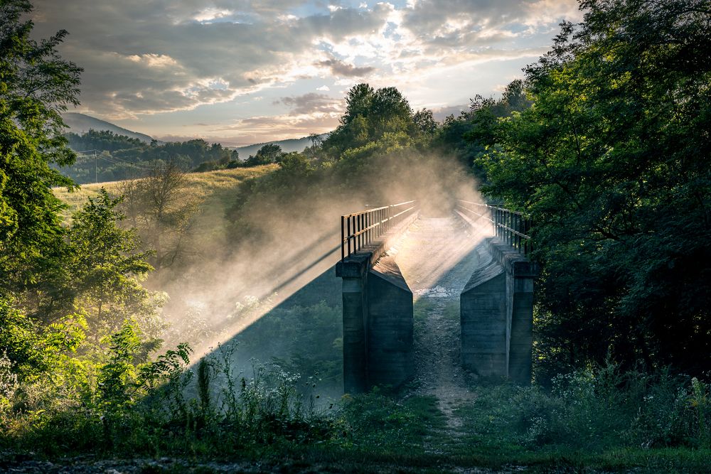 Фотография автора Alena Gersicova