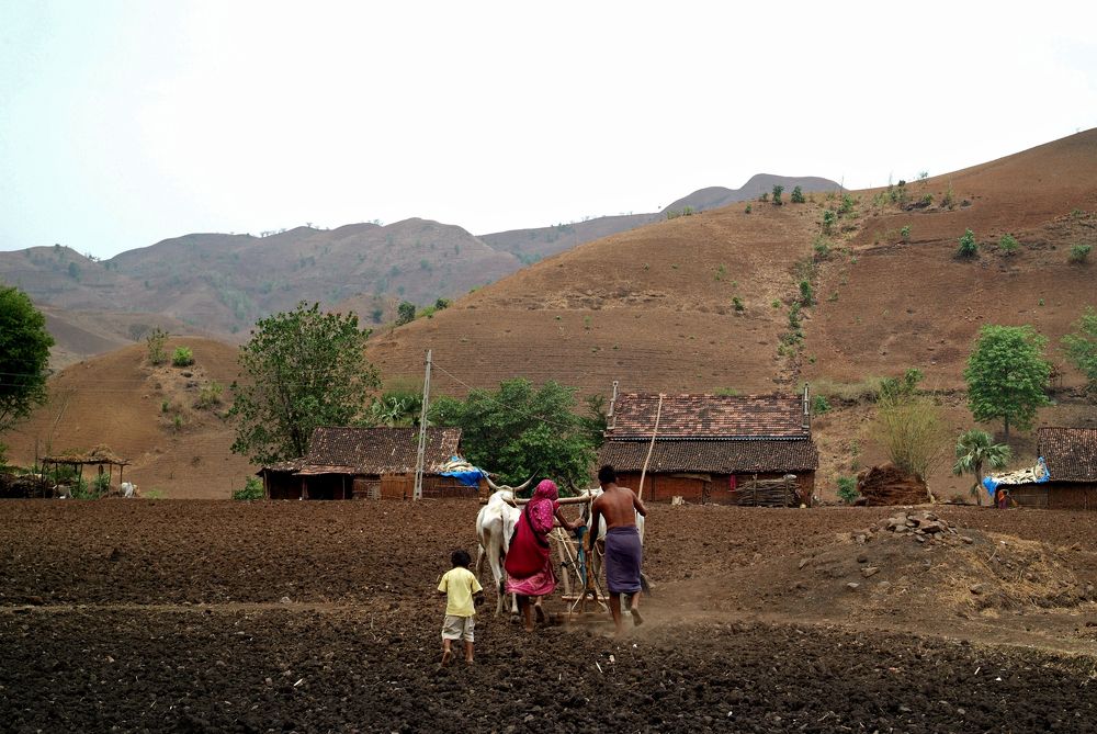 Фотография автора NARAYAN PATEL