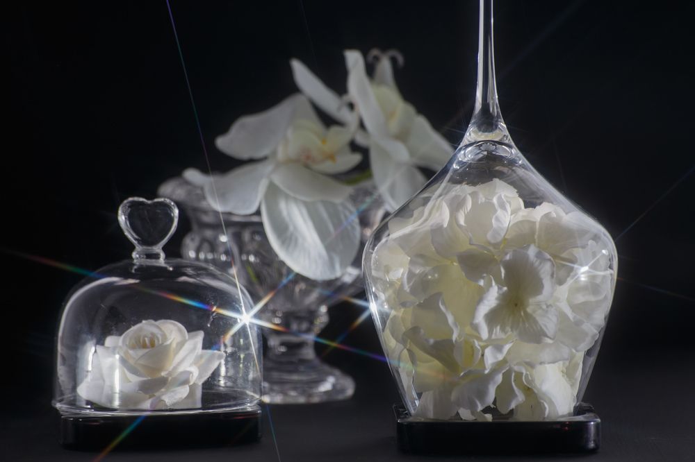 Photograph by Vasily Prokhorov