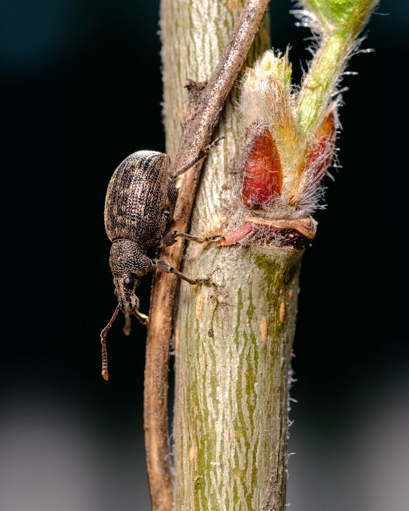 Photograph by Виталий Бодрягин