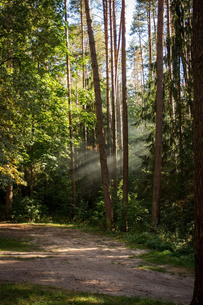 Photograph by Елена