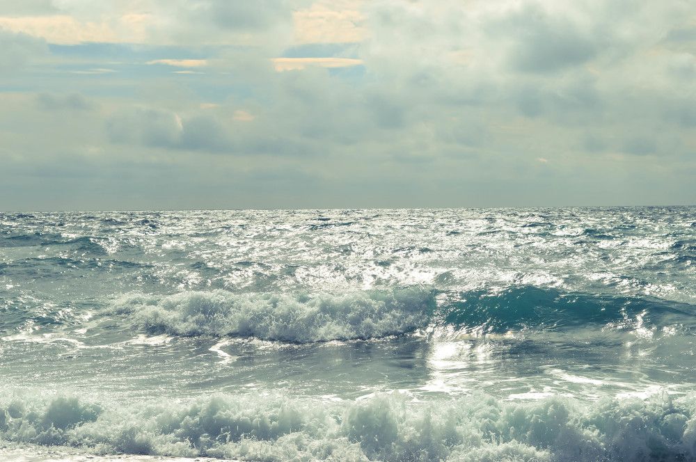 Photograph by Елена