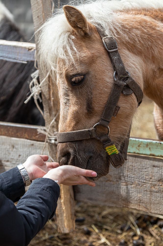 Photograph by Наталья Носова (Кучеренко)
