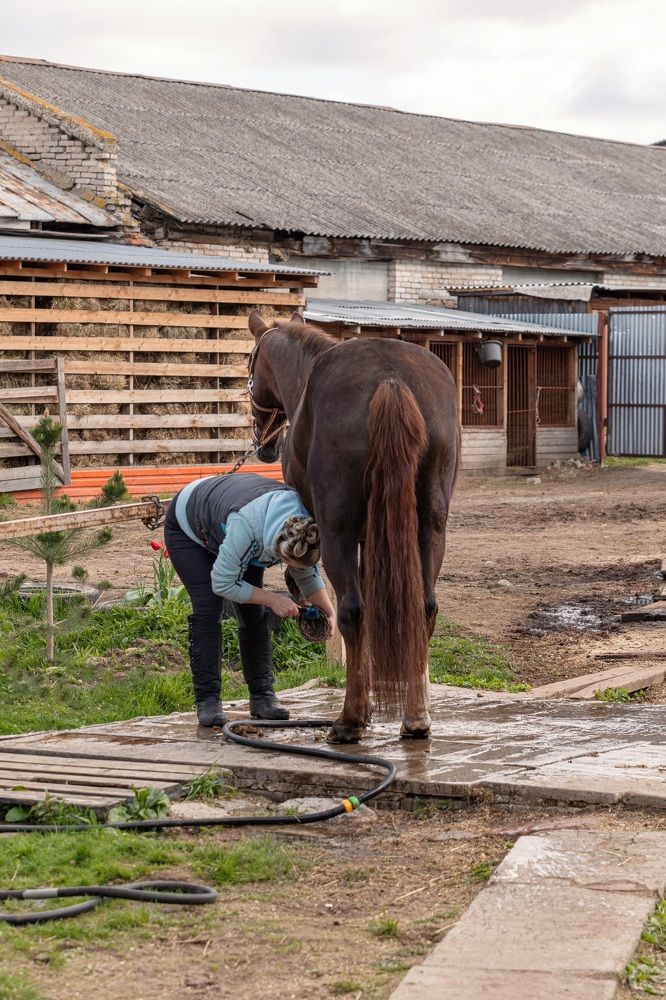 Photograph by Наталья Носова (Кучеренко)