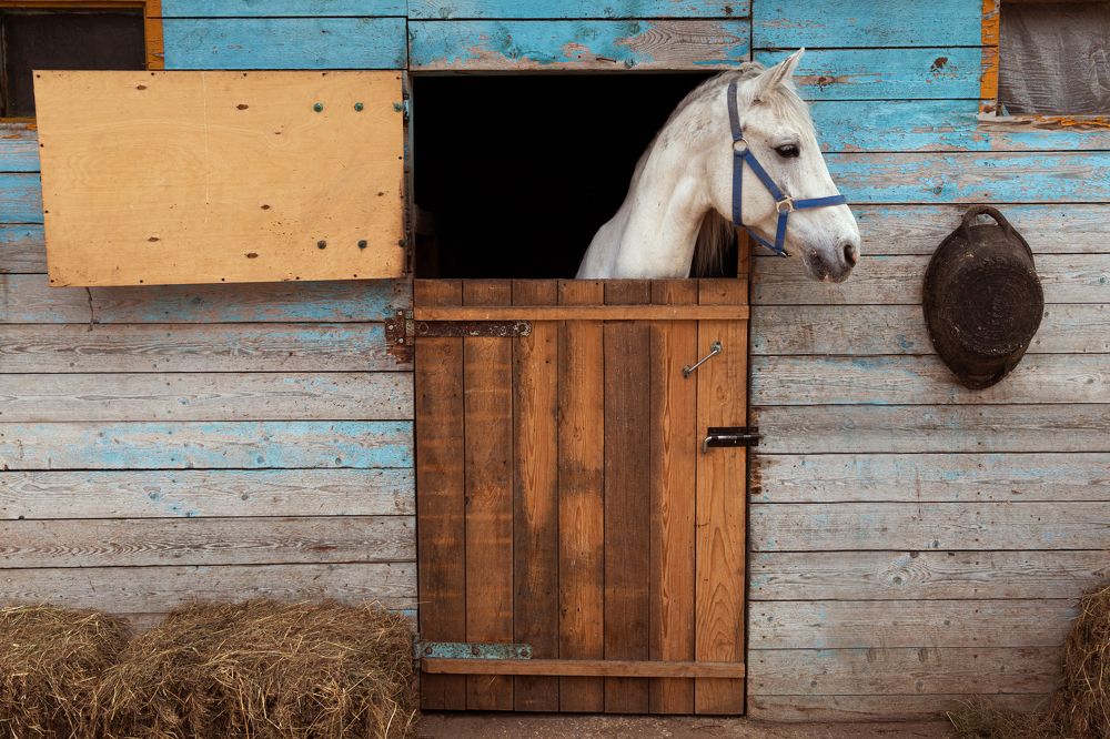 Photograph by Наталья Носова (Кучеренко)