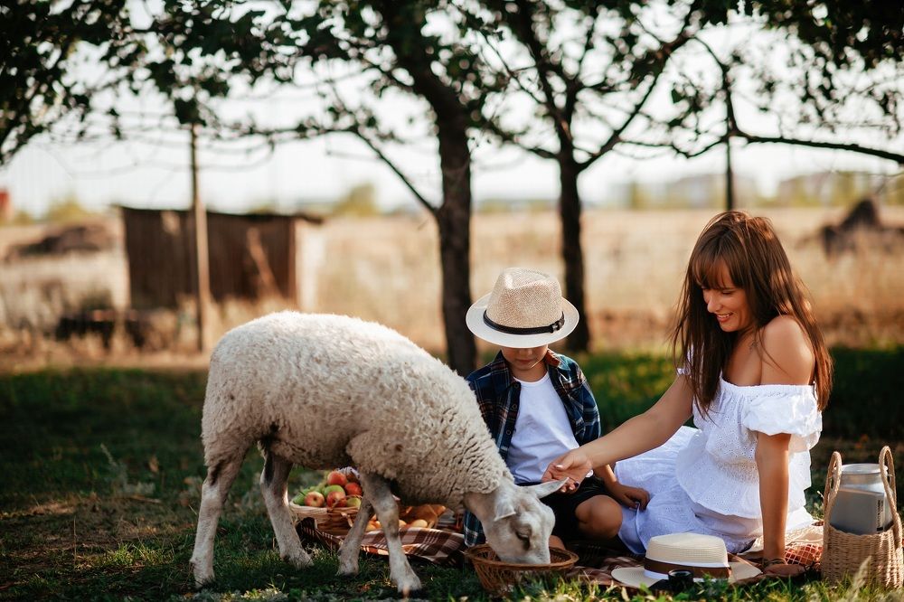 Photograph by Екатерина Белкина