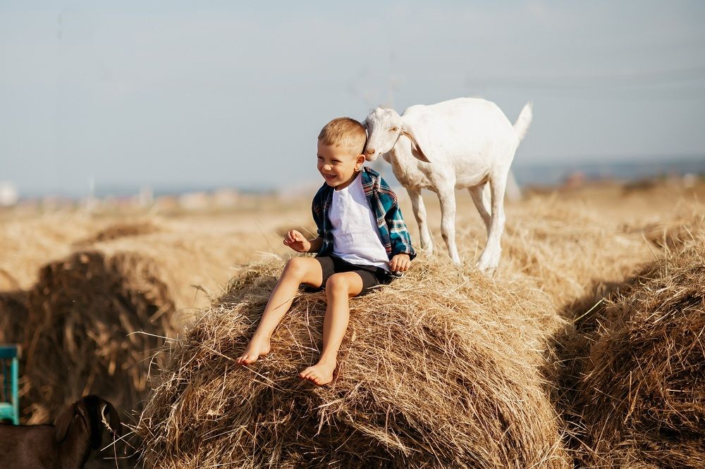 Photograph by Екатерина Белкина