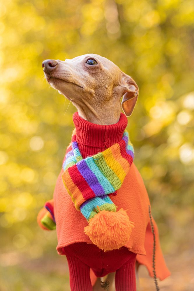 Photograph by Анастасия Лученок