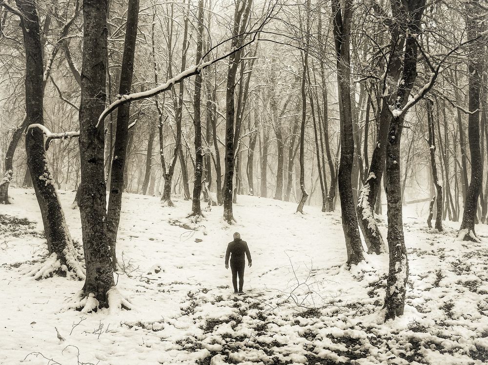 Photograph by Siavash Shomali