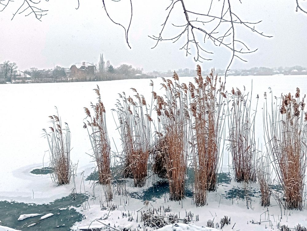 Photograph by Ольга Бакурская