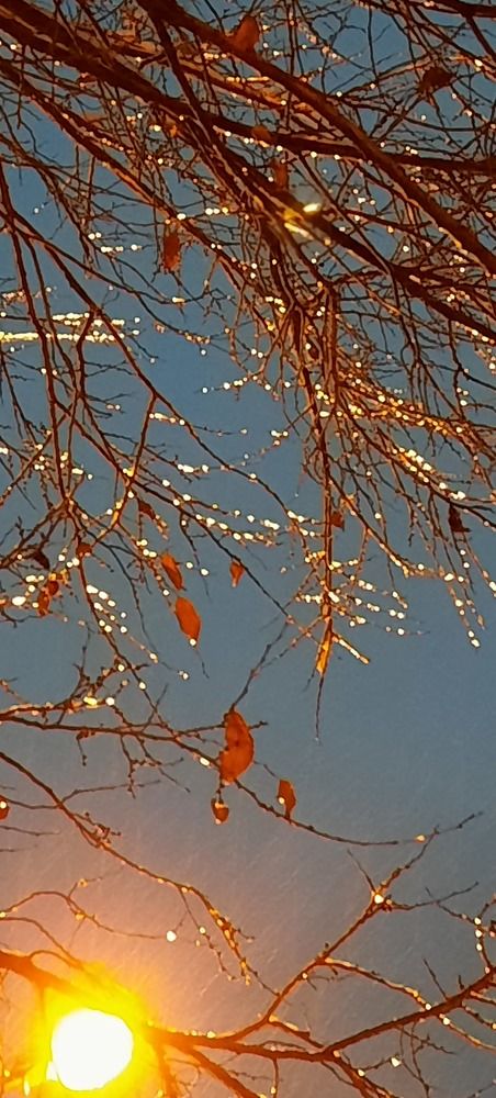 Photograph by Евгения Шашина