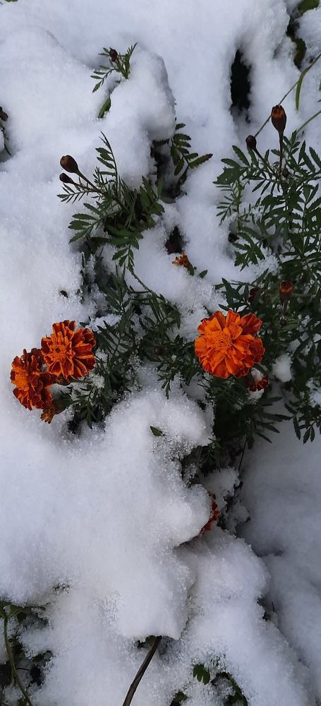 Photograph by Евгения Шашина