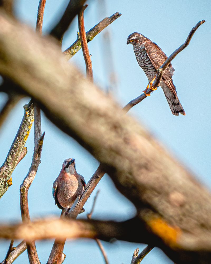 Фотография автора Богородицкий Артур