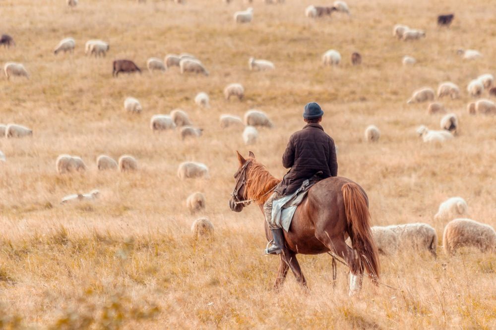 Photograph by Николай Зорин