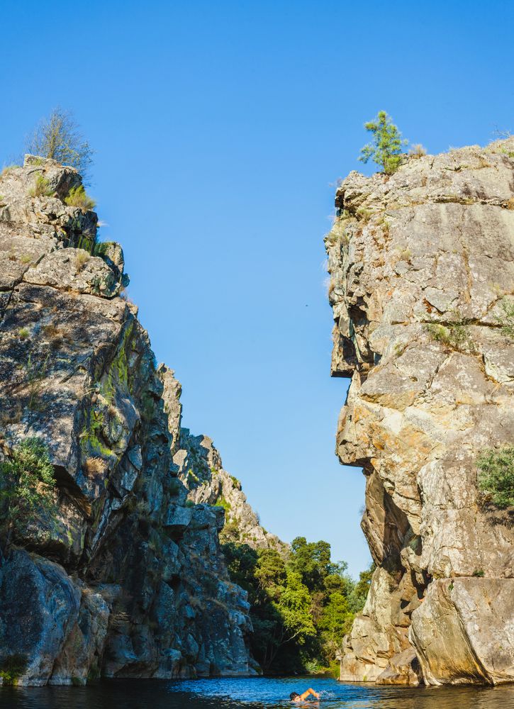 Фотография автора Coimbra Zonov