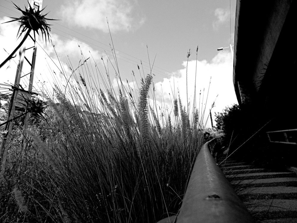 Photograph by Сергей Рапопорт