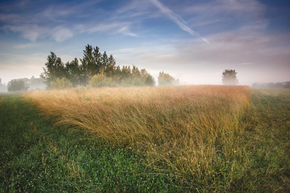 Photograph by Зеленько Дмитрий