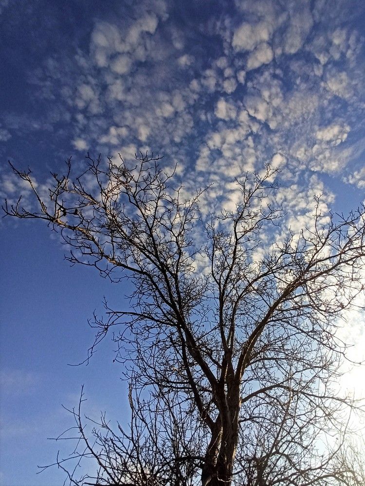 Photograph by Татьяна Долгушева