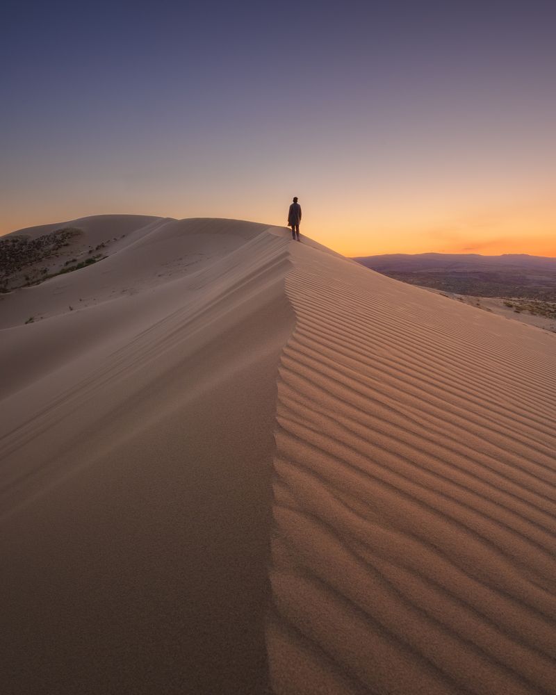 Сны Муад' Диба