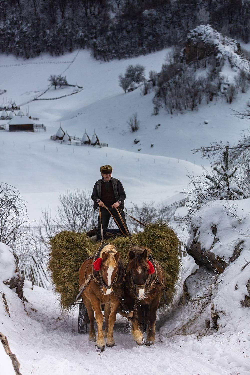 Фотография #9547041