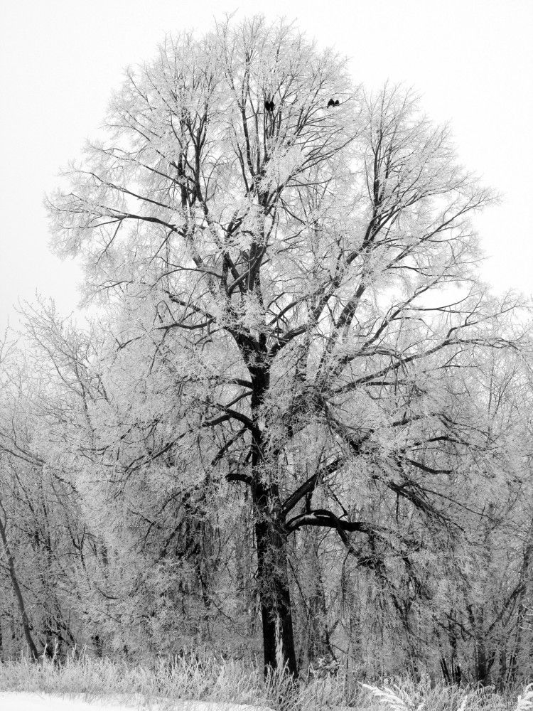 Photograph by Михаил Попов