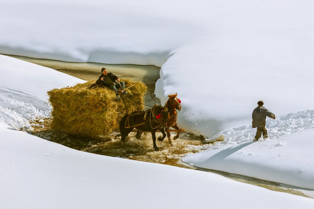 Photograph by Jeno Major