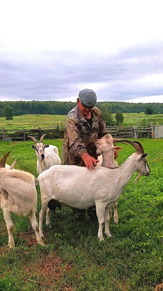 Любовью и лаской