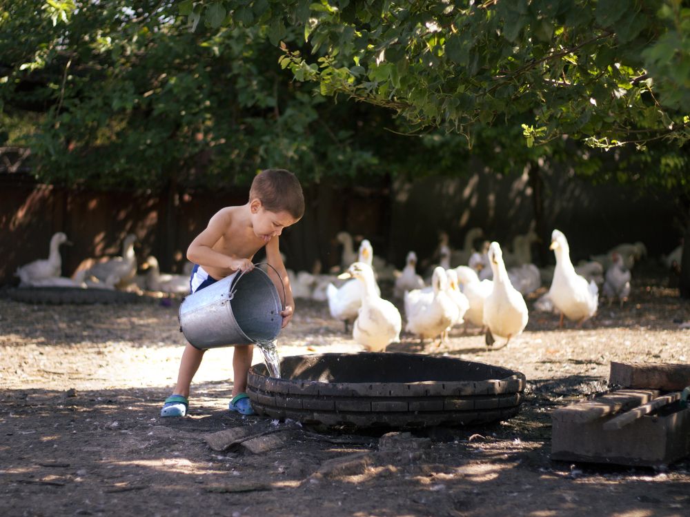 Photograph by Виктория Игонина