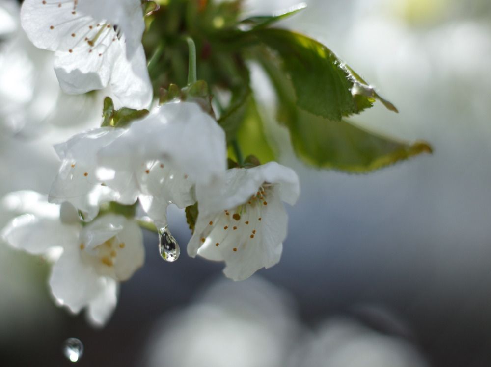 Photograph by Виктория Игонина